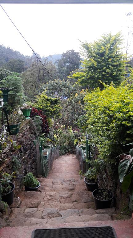 Privatunterkunft Green House *