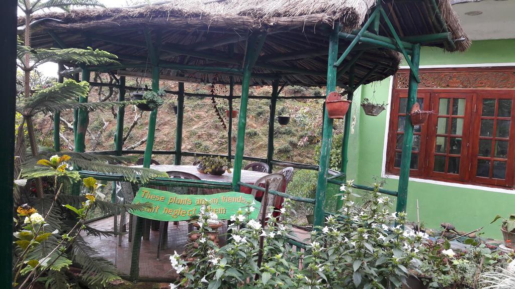 Green House *